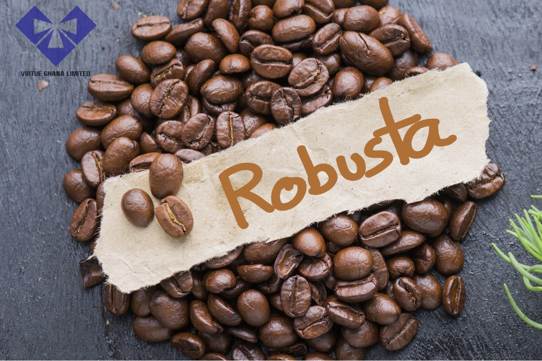Robusta Coffee