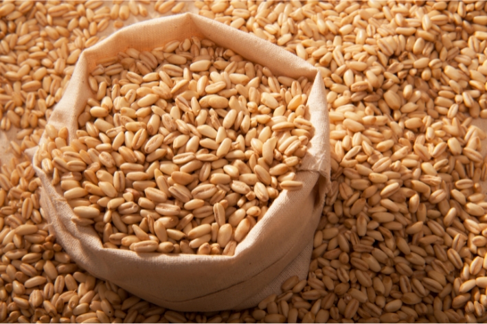 Barley