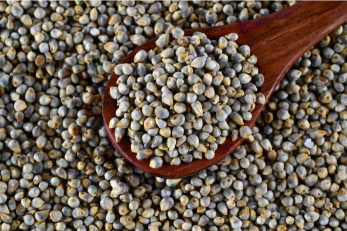 Millet