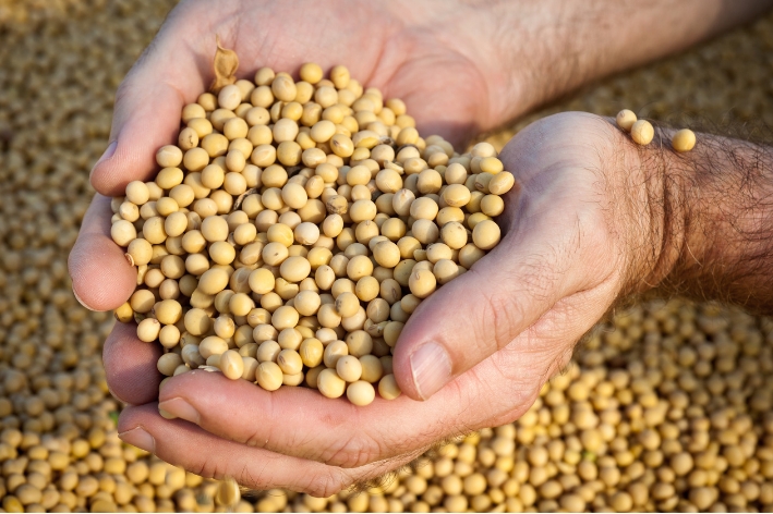 Soybeans